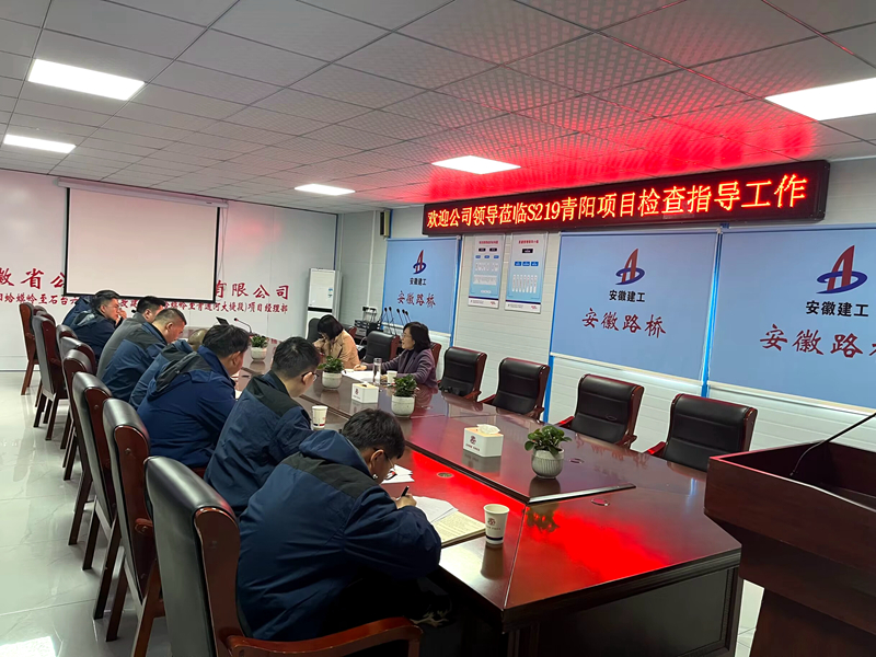 公司黨委委員、紀(jì)委書(shū)記王鵬到S219青陽(yáng)改建項(xiàng)目調(diào)研指導(dǎo)工作
